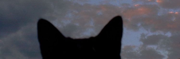 Some_onelove02's profile banner image