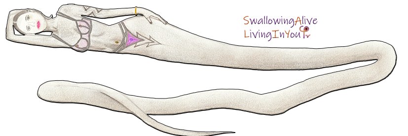 SwallowingA's profile banner image