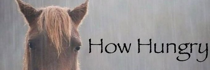 imstillalice's profile banner image