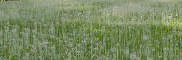 misasgallery Profile Banner