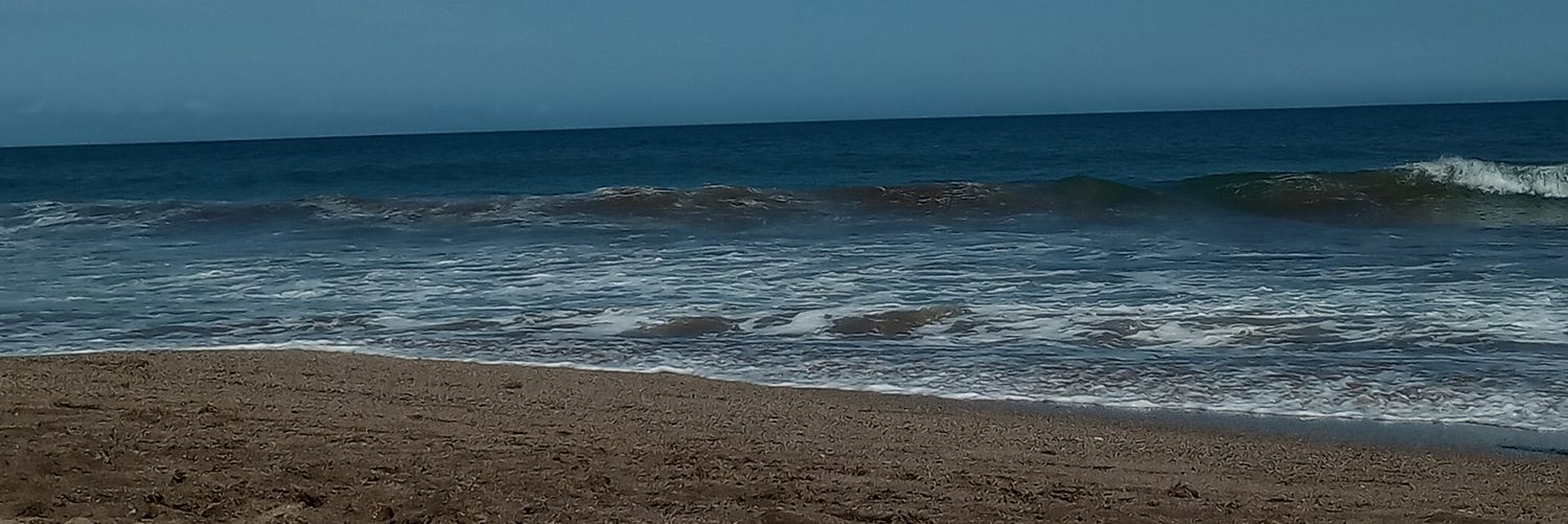 Luli_ponzio's profile banner image