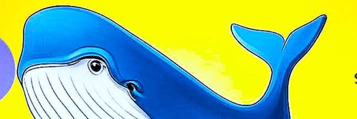 MegaMemeWhale's profile banner image