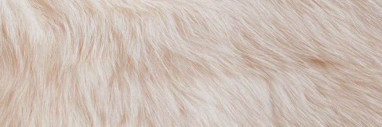 Lu banner