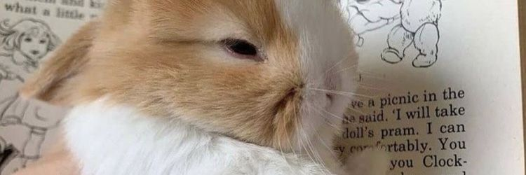 opssoren_'s profile banner image