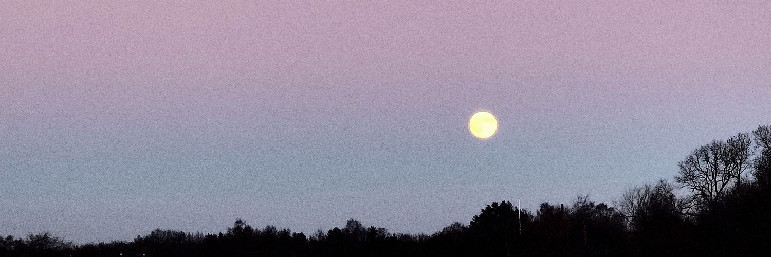 lptlt1's profile banner image