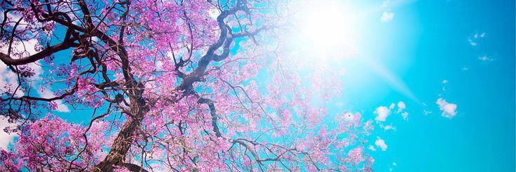 _Jesk4's profile banner image