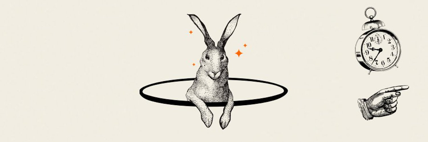 POL Finance 🐇 banner