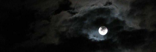 xvxww0's profile banner image