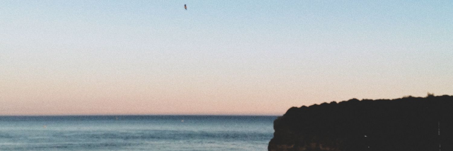 isabelabrantees's profile banner image