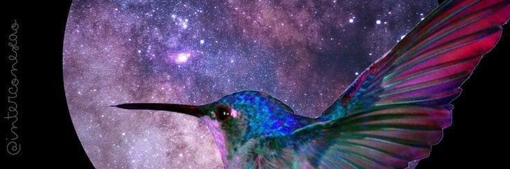 Sirio💥la que más brilla's banner
