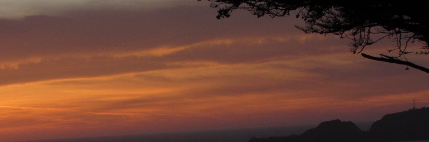 suzalyn's profile banner image