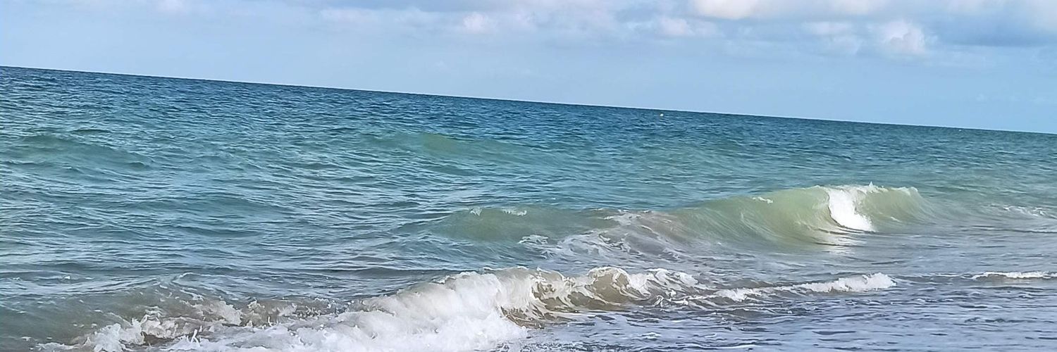 Mariposy81's profile banner image