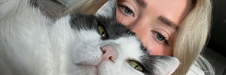 alevvvsv's profile banner image