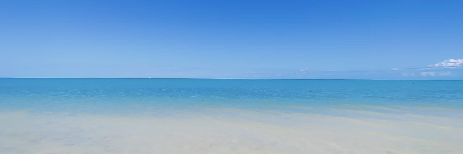 Minzayen's profile banner image