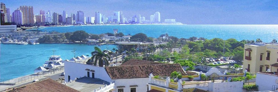 Johnny finanzas y organizacion banner