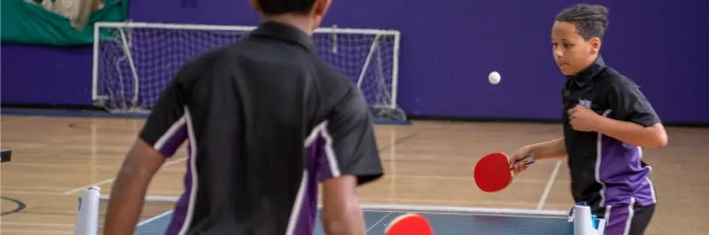 Dormston PE Department banner