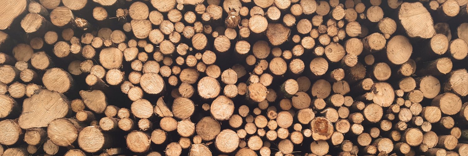TastyTimber's profile banner image