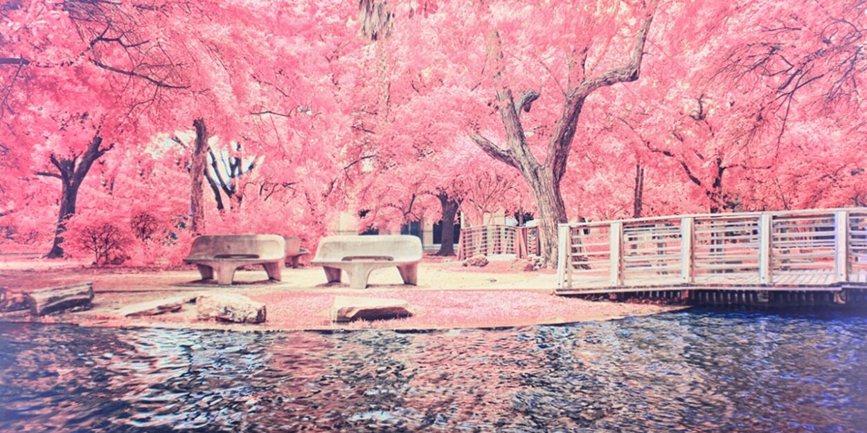 Vanessasatan's profile banner image