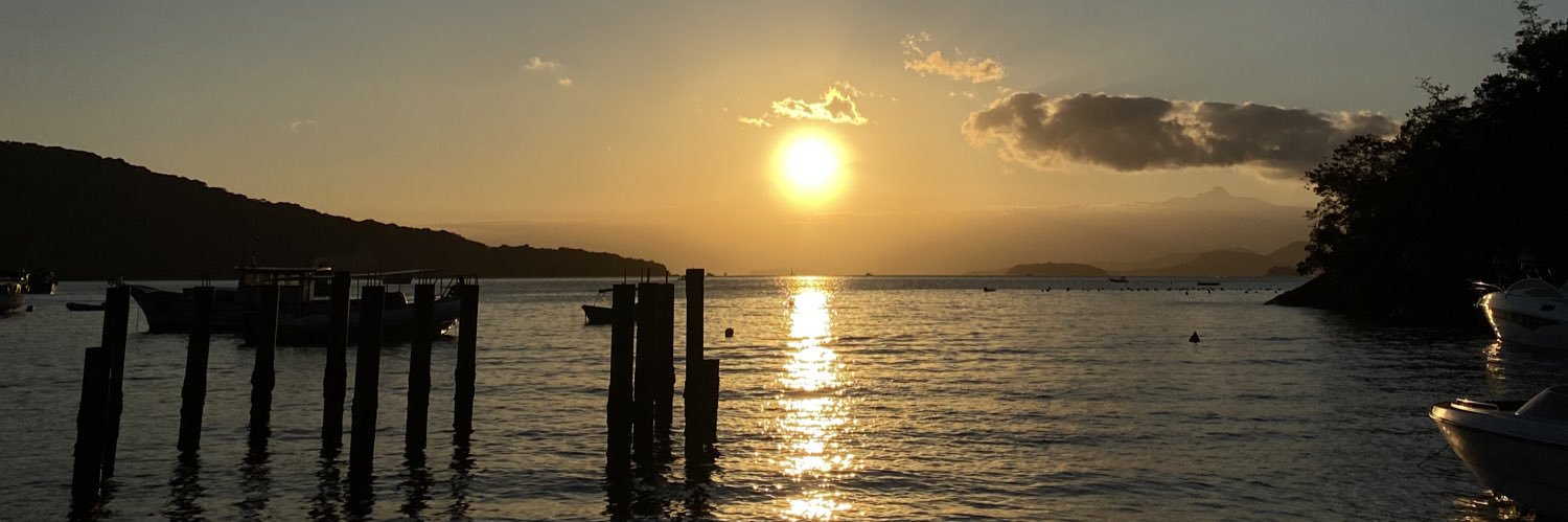 fefeepimenta's profile banner image
