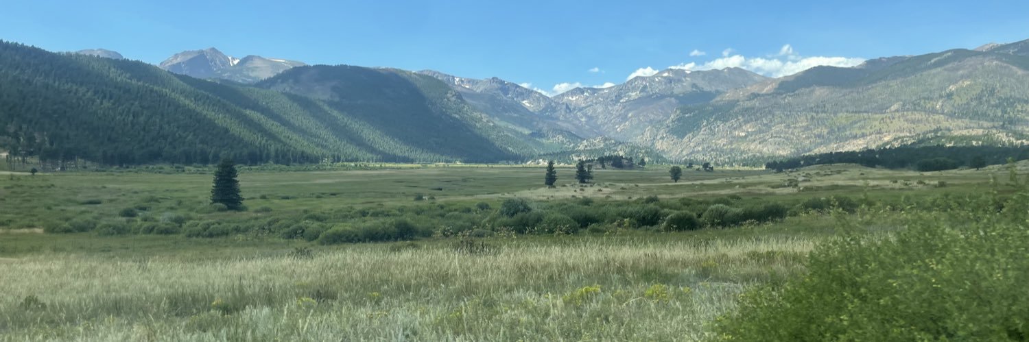 kellymitch's profile banner image