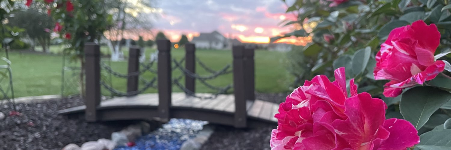 Crypto Snail 🐌 banner