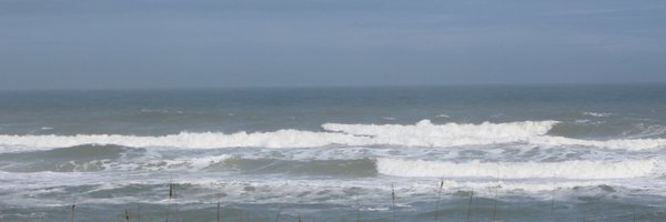 FatKat1991 Profile Banner