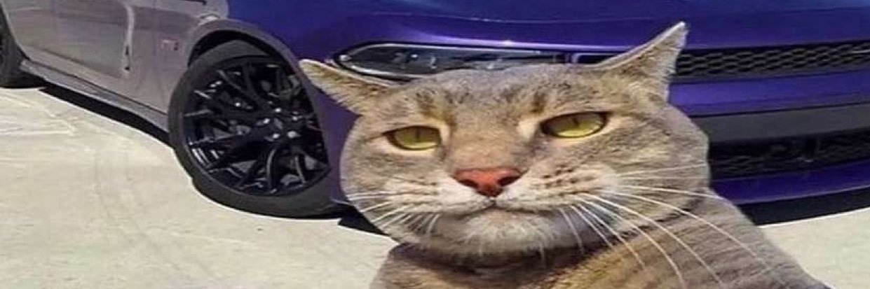 noomoiuu's profile banner image