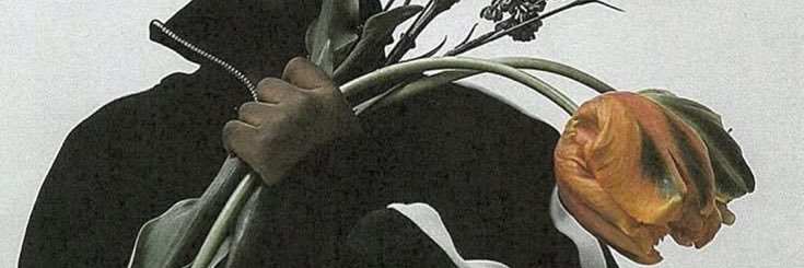 PTARwd's profile banner image