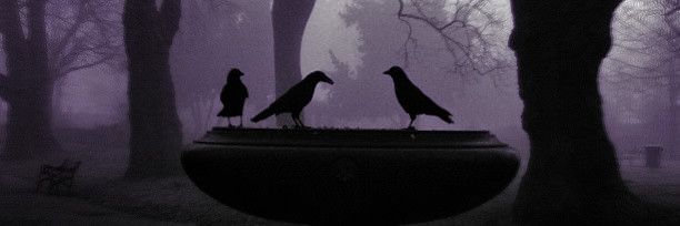 𝒜𝘶𝘥𝘦𝘯! ˑ ˑ banner