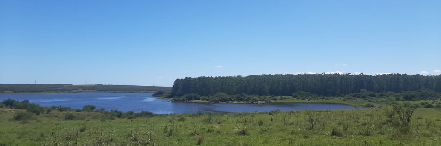 Augusto Raggio banner