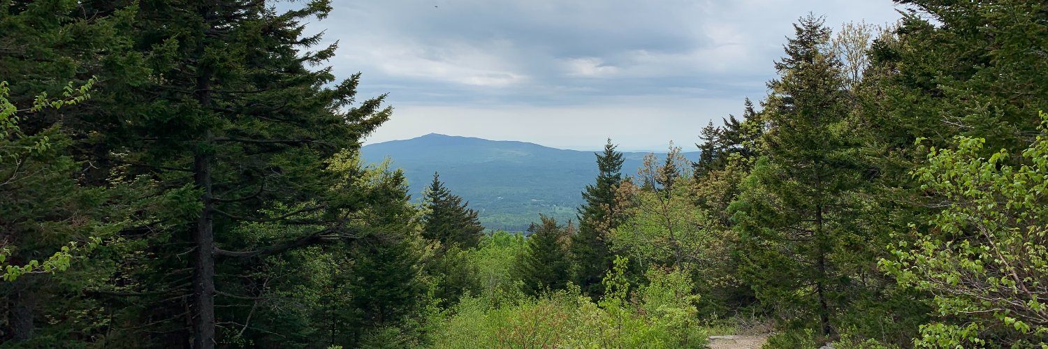 Josh Marcus-Blank banner
