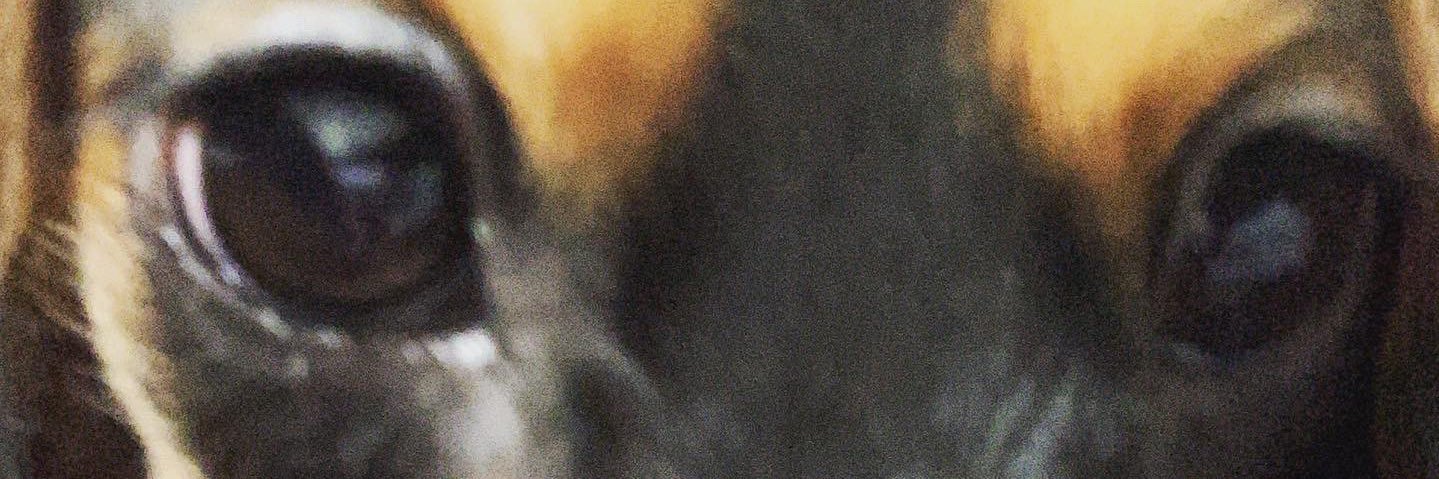 frius1023's profile banner image