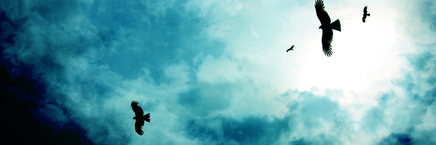 HiyaYuto's profile banner image