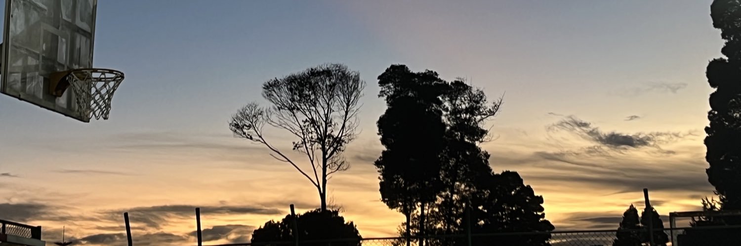 T4Mendez's profile banner image