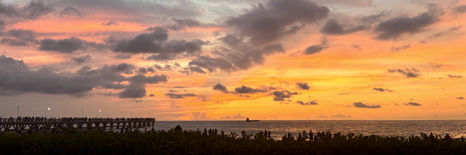 linacruzco's profile banner image