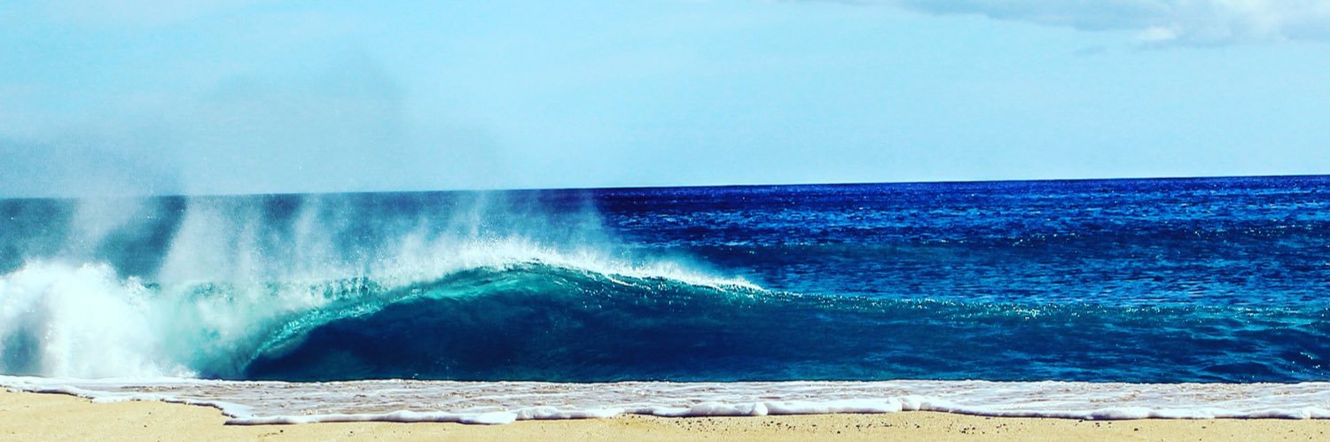 FansofSaltwater's profile banner image