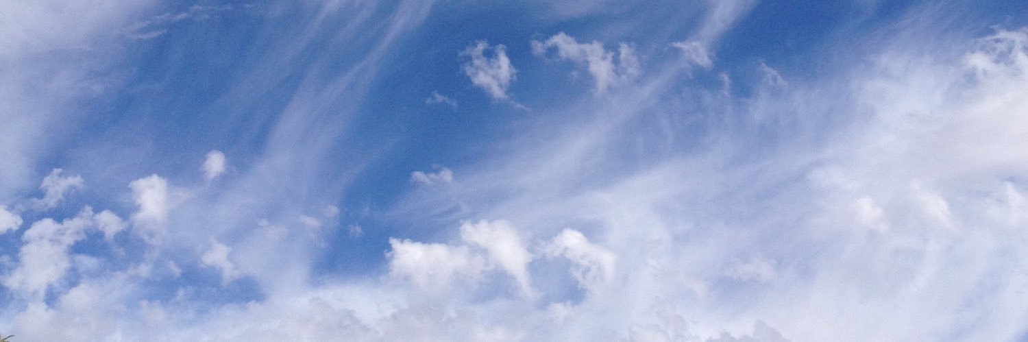 mickeyponta's profile banner image