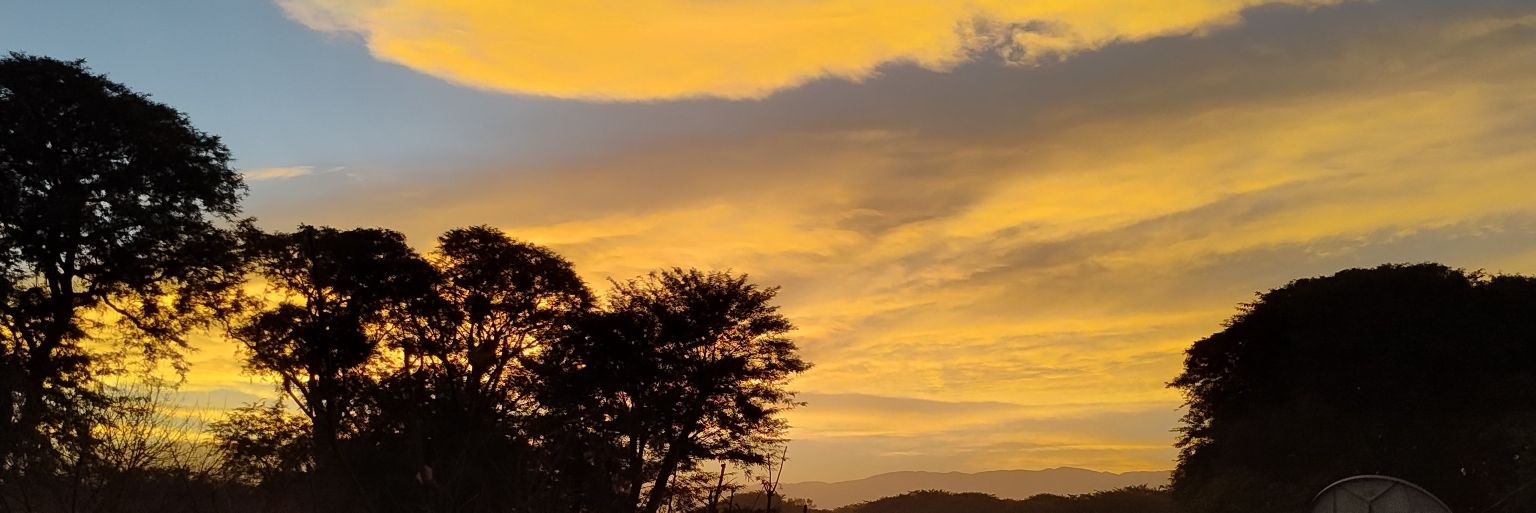 fioreebrito's profile banner image