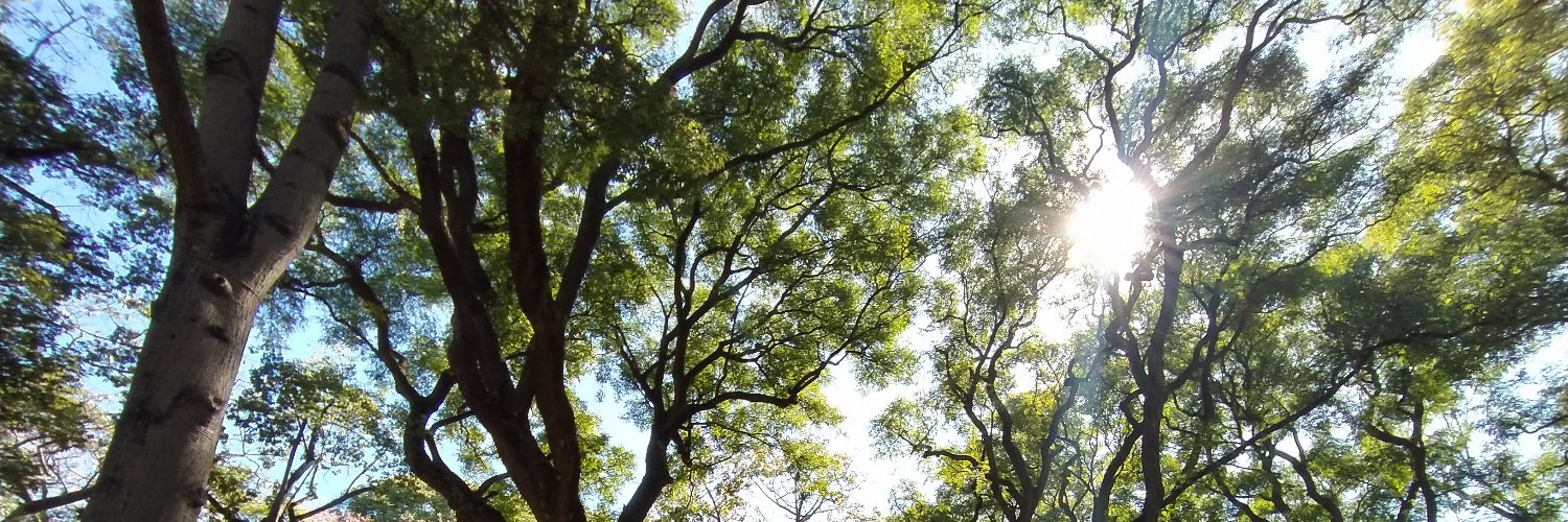 IDENTIFY AS CRYING🌳 banner