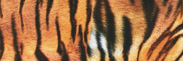 ♯ 🪷ㅡslr banner