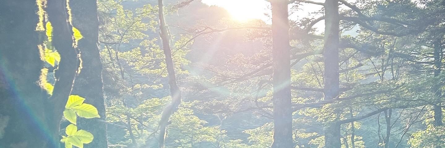 s_chisa223's profile banner image