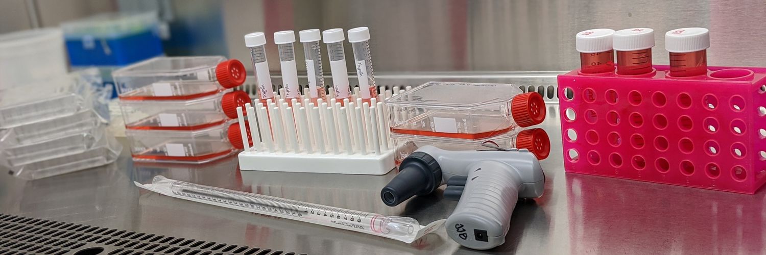 Rosabel Ramirez banner