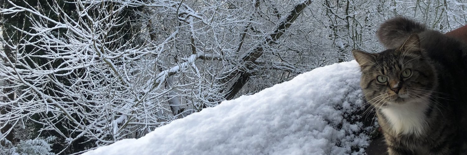 leahmorrey's profile banner image