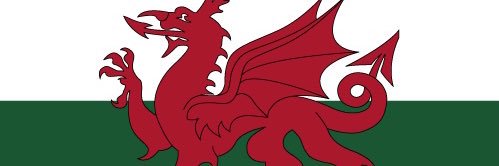 Lou 🌻🇺🇦🏴󠁧󠁢󠁷󠁬󠁳󠁿🇬🇧 banner