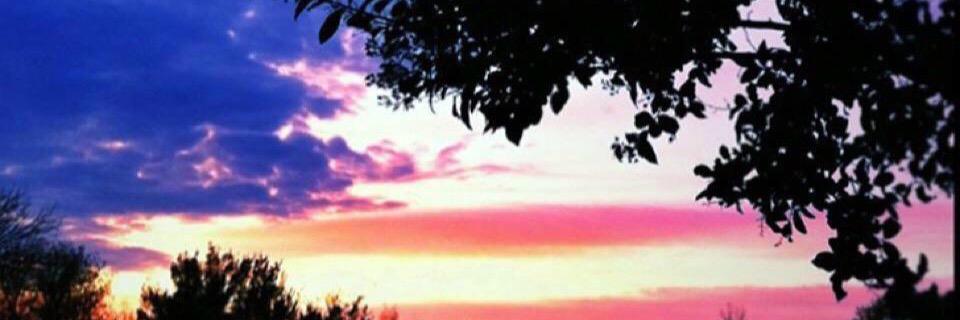 awest_xo's profile banner image
