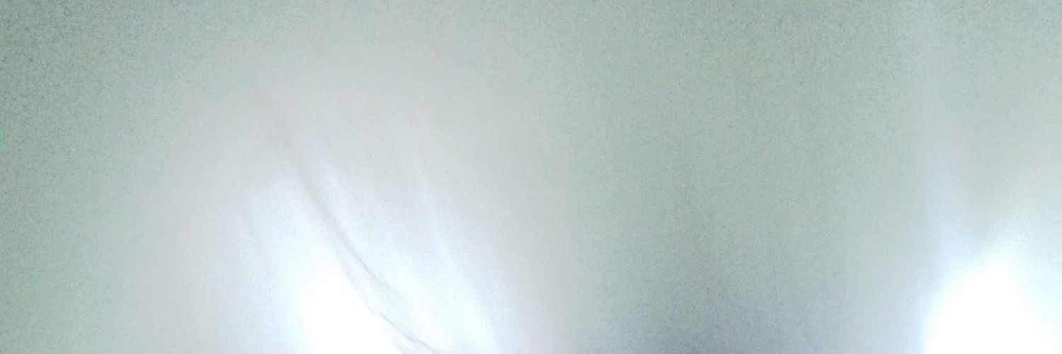 langitbekicot's profile banner image