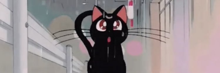 チロさら banner