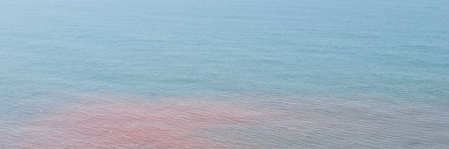 sadaliien's profile banner image