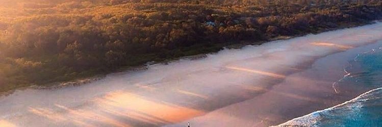 Robert Candy 🐐 ❤️ Memecoin banner