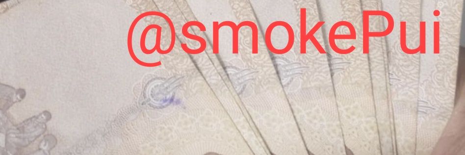 smokePui's profile banner image